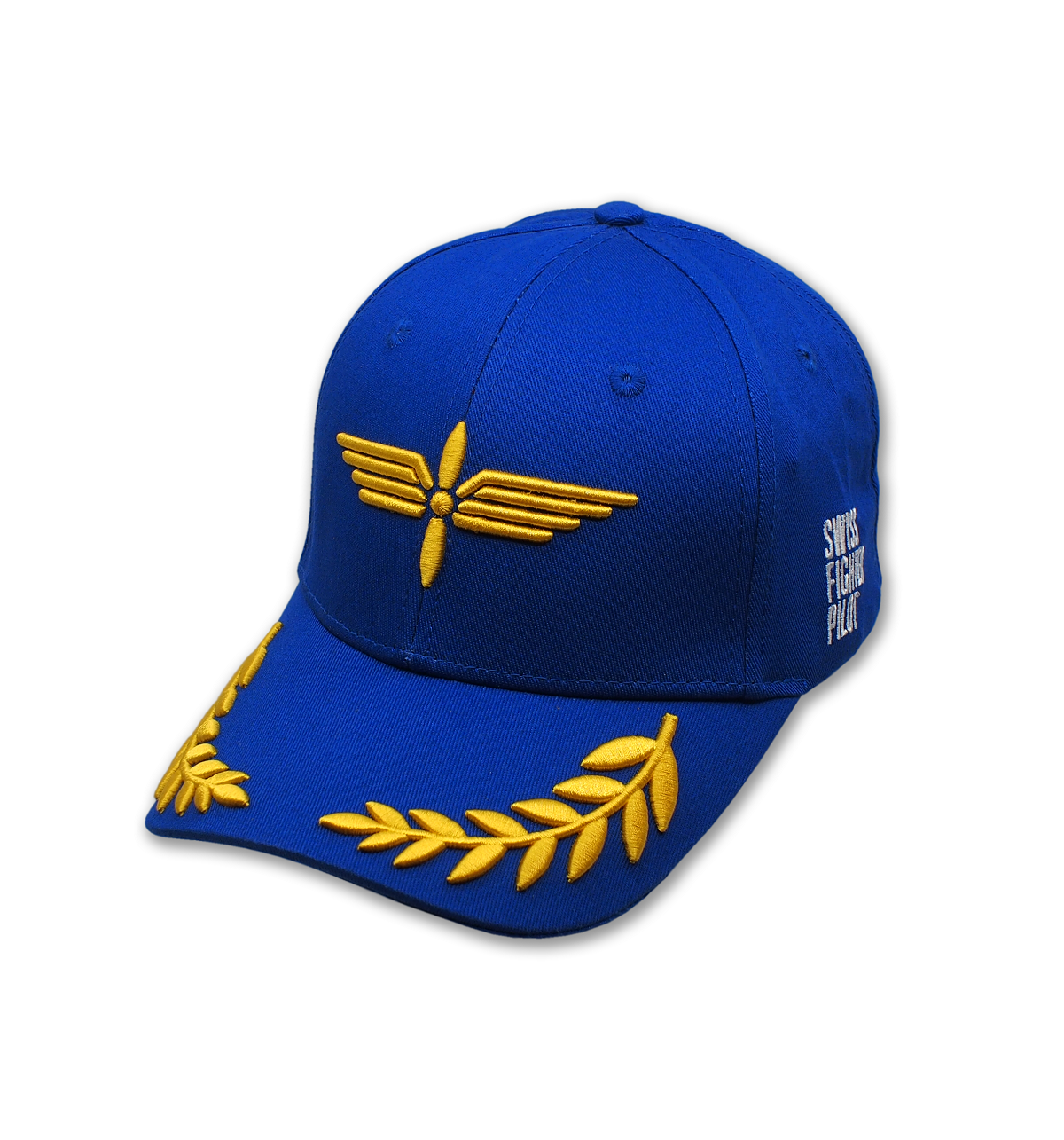 Casquette de pilote d'avion de chasse