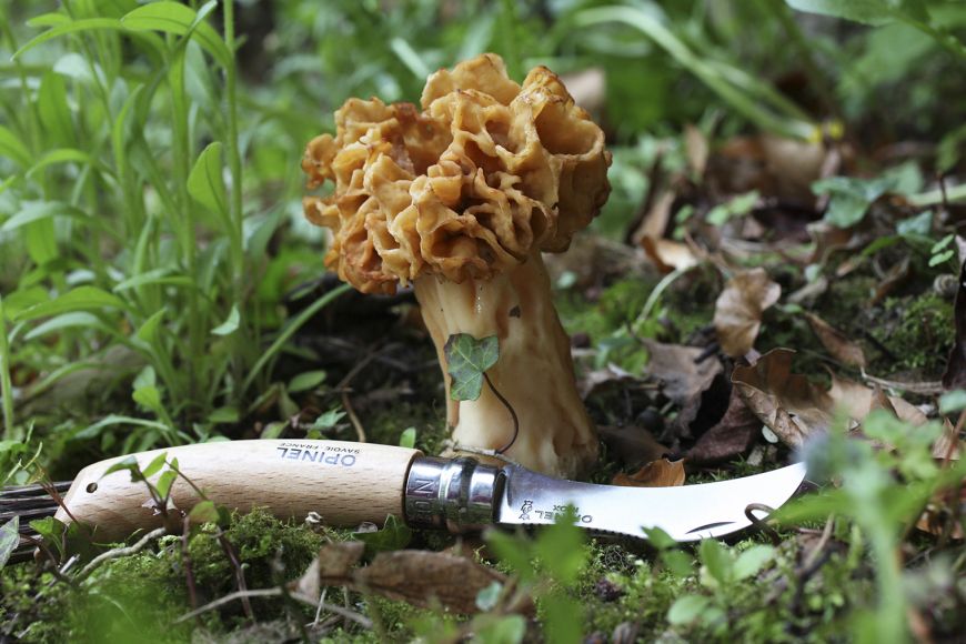 Couteau OPINEL N°08 à champignons