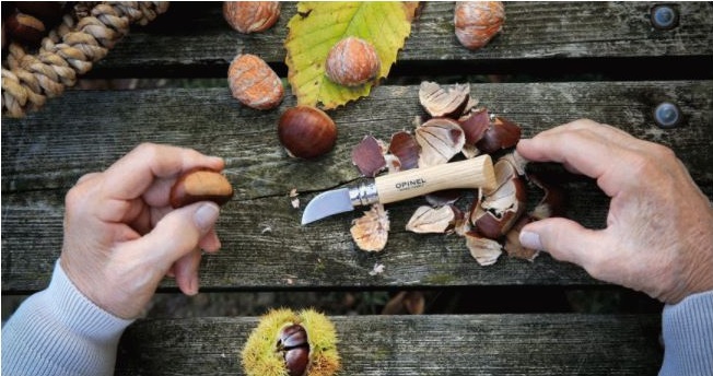 Couteau OPINEL N°07 Chataigne et ail