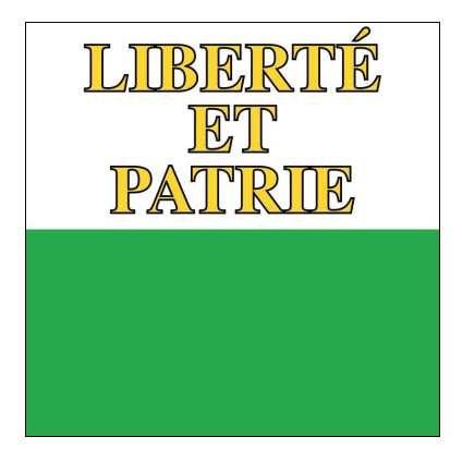 Drapeau Vaud 1x1m